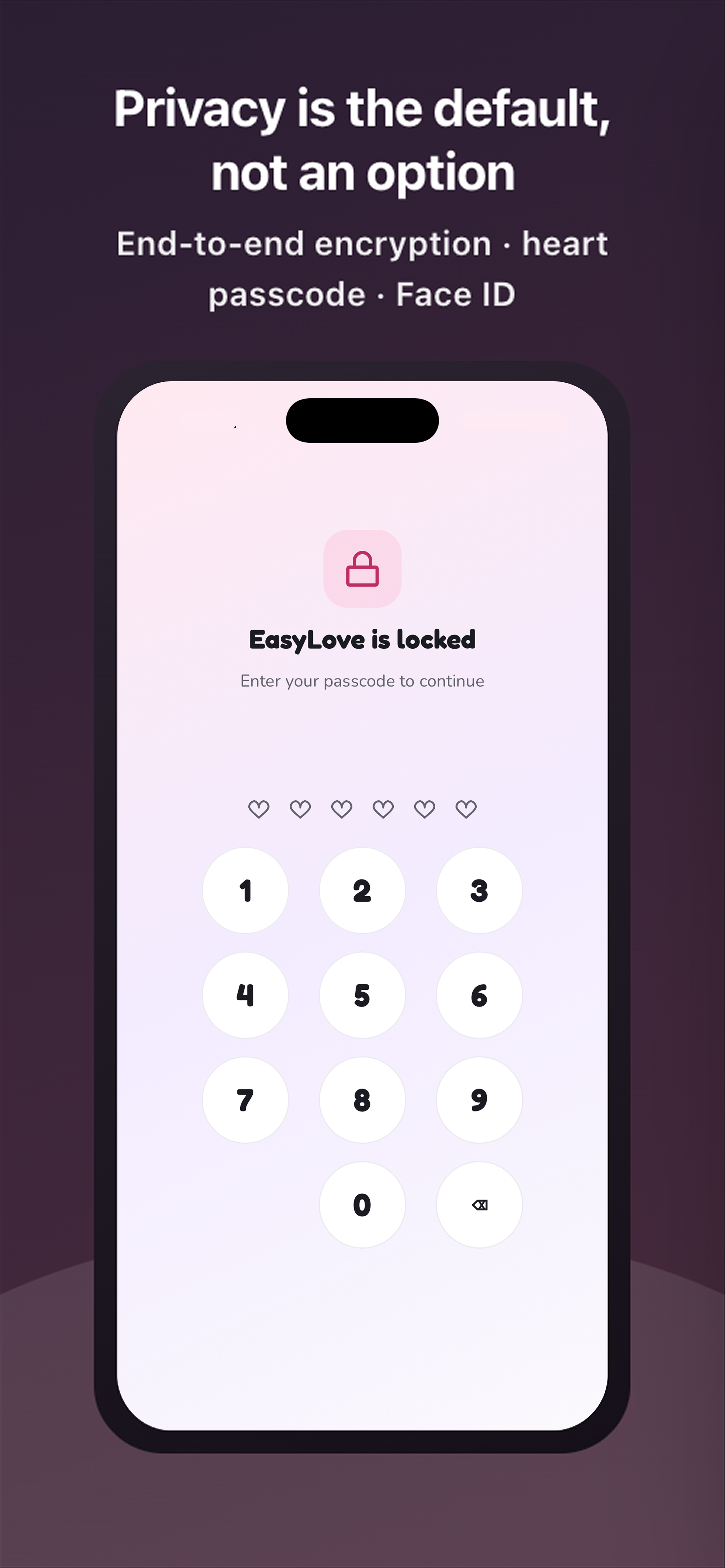 Privacy lock